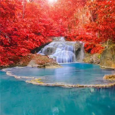 杀生丸手游下载