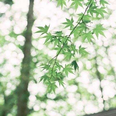 儿童创造手机游戏下载